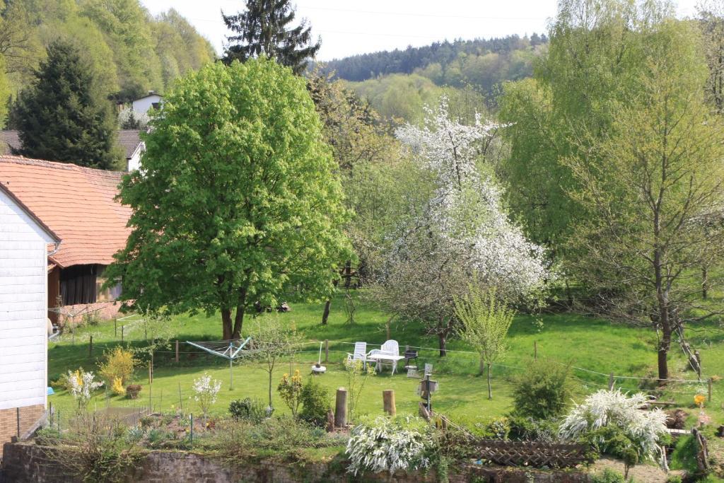 Gasthof Zur Traube Guest house